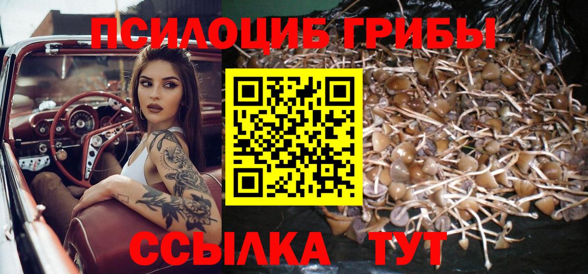 Псилоцибиновые грибы прущие грибы Можайск