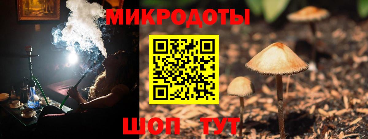 Можайск  Псилоцибиновые грибы Psilocybine cubensis  Вход с VPN 